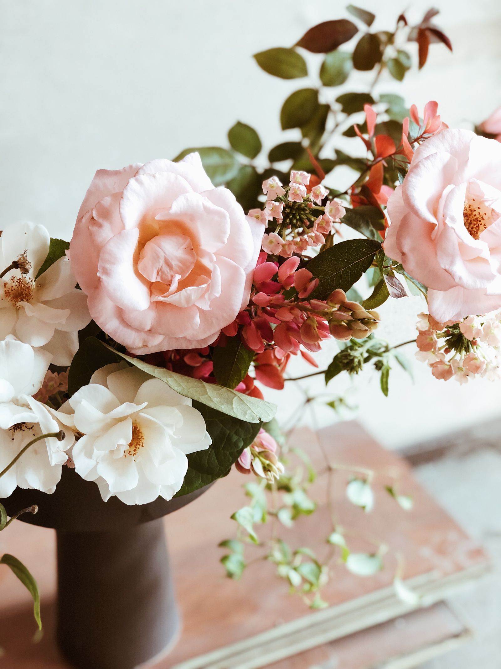 Roses de jardin dans un vase sombre